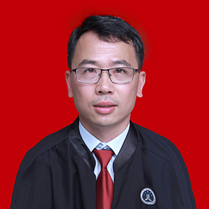 刘文海律师
