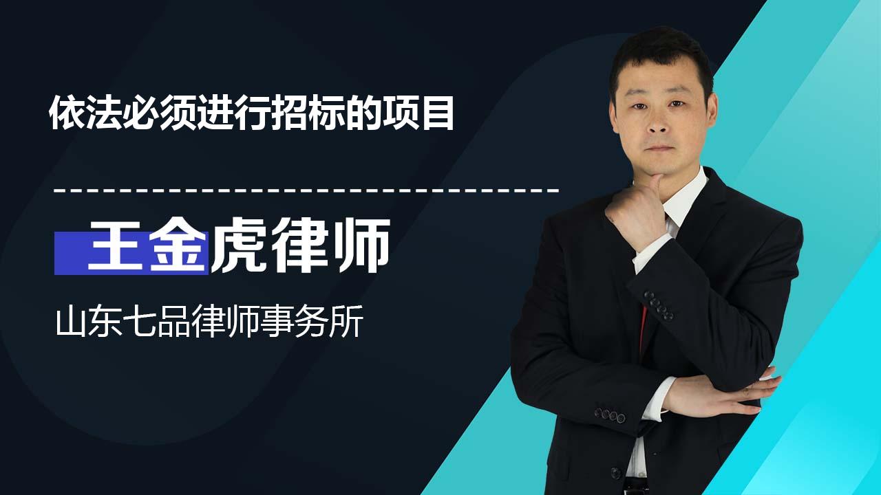 依法必须进行招标的项目